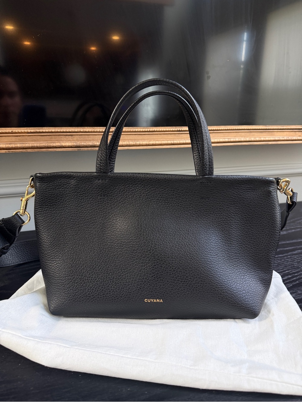 Cuyana Black Mini Easy Zipper Tote